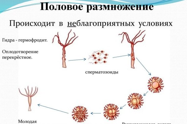 Кракен шоп это