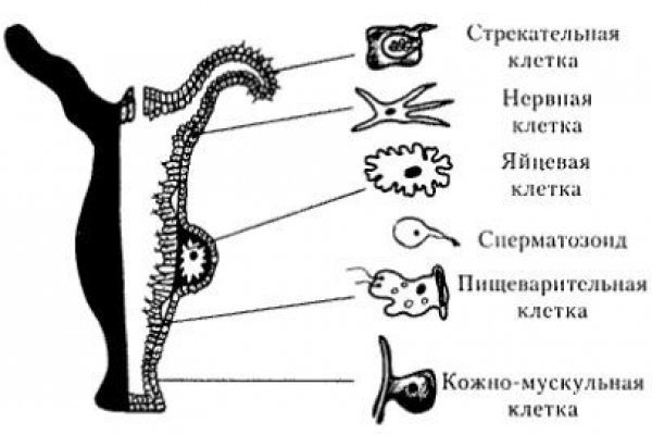 Как войти на кракен