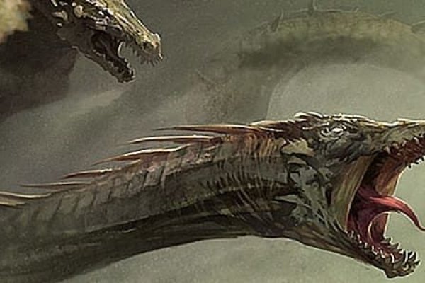 Kraken 6at